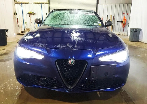 Alfa Romeo Giulia cena 46000 przebieg: 46113, rok produkcji 2017 z Kudowa-Zdrój małe 56